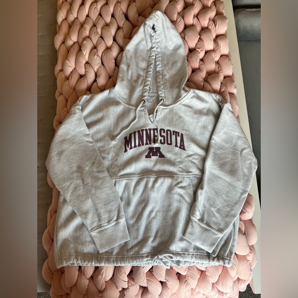 Champion Heather Grey University of Minnesota Hoodie